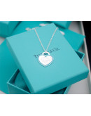 Tiffany & Co necklace on the occasion