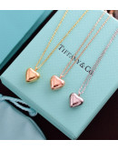 Tiffany & Co necklace on the occasion