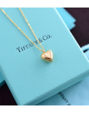 Tiffany & Co necklace on the occasion