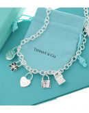 Tiffany & Co necklace on the occasion