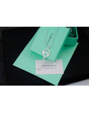 Tiffany & Co necklace on the occasion