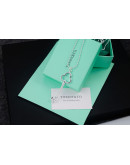 Tiffany & Co necklace on the occasion