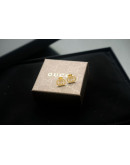 High -end Gucci earrings