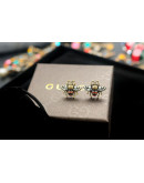 High -end Gucci earrings