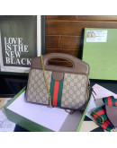 OPHIDIA GUCCI LUXURY BAG IN YOUR HANDS