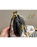 Ladyd Joy Dior Bag Luxury and Elegance