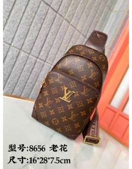 Louis Vuitton shoulder bags