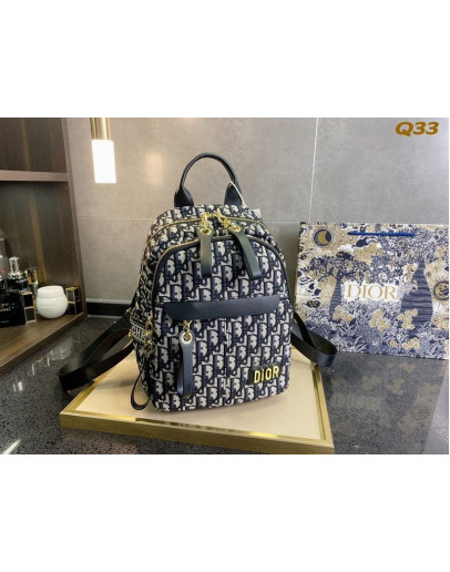 Dior high -end striking backpack