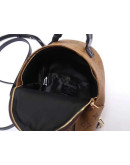 Louis Vuitton backpack Women