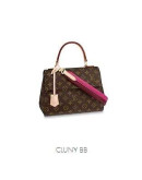 Louis Vuitton Bag For Women