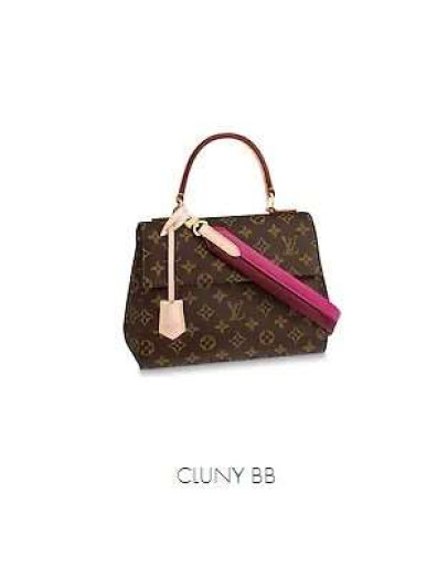 Louis Vuitton Bag For Women