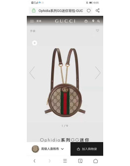 Gucci Ophidia Backpack For Women