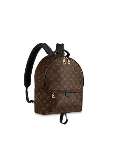 Louis Vuitton Backpack for Women