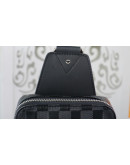 Louis Vuitton backpack Signature Unisex