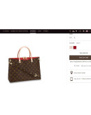 Louis Vuitton Bag for Women