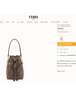 Fendi Bag For Women