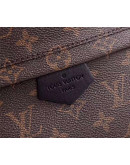 Louis Vuitton Backpack for Women