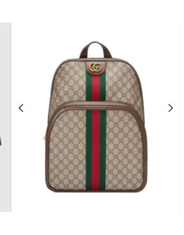 Gucci backpack Unisex Ophidia