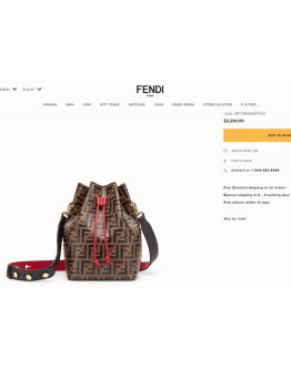 Fendi Bag For Women