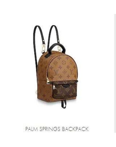 Louis Vuitton backpack Women