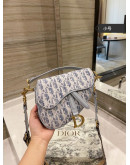 Dior luxury leather bag