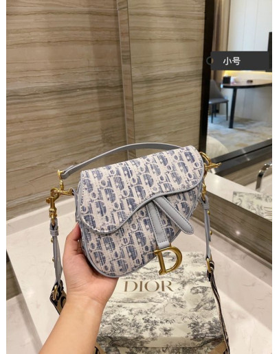 Dior luxury leather bag