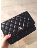 Chanel Quilted Bags And Wallet With Chain