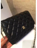 Chanel Quilted Bags And Wallet With Chain