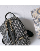 Casual backpack with golden dior closures