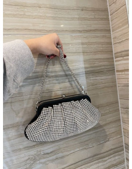 Alexander Wang handbags